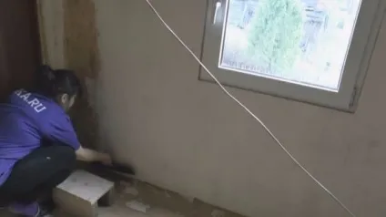 Оздоблення ОСП 4 види декорування, чим краще обробити всередині і зовні