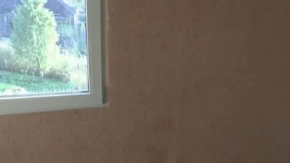 Оздоблення ОСП 4 види декорування, чим краще обробити всередині і зовні