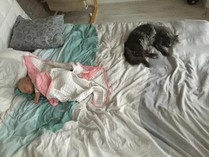 Батько середнього віку
