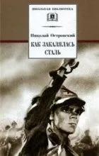 Відгуки про книгу як гартувалася сталь