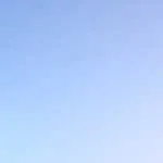 відспівування покійних