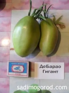 Оцінюємо сорти помідорів - садимо город