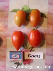 Оцінюємо сорти помідорів - садимо город