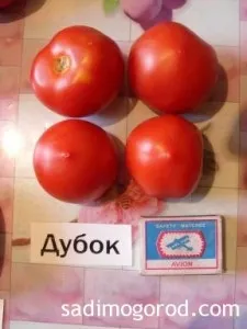 Оцінюємо сорти помідорів - садимо город