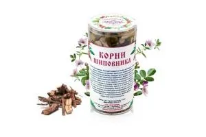 Відвар кореня шипшини для лікування каменів в нирках рецепт, інструкція, відгуки (шипшина при каменях в нирках) Відвар кореня шипшини для лікування каменів в нирках рецепт, інструкція, відгуки