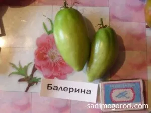 Оцінюємо сорти помідорів - садимо город