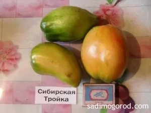 Оцінюємо сорти помідорів - садимо город