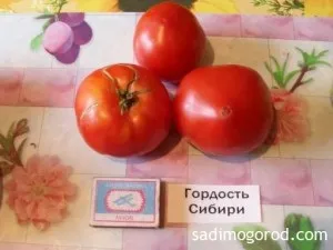 Оцінюємо сорти помідорів - садимо город