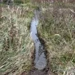 Полювання на бобра з капканами влітку, восени, взимку (в тч прохідними) відео (бобра) Полювання на бобра з капканами влітку, восени, взимку (в тч прохідними) відео