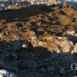 Полювання на зайця взимку (взимку) Полювання на зайця взимку