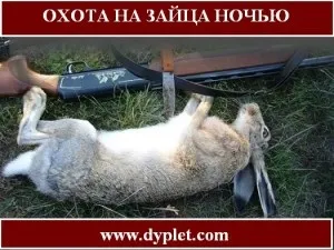 Полювання на зайця вночі! (Полювання на зайця) Полювання на зайця вночі!