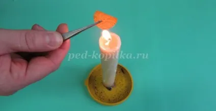 Панно виноградна лоза своїми руками (своїми) Панно виноградна лоза своїми руками