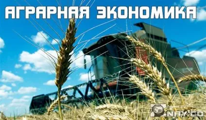 Овердрафт що це таке, як працює, як відмовитися від нього і відключити