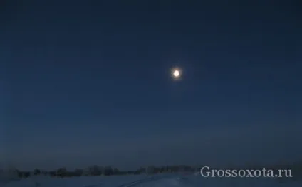 Полювання на зайця взимку (полювання) Полювання на зайця взимку
