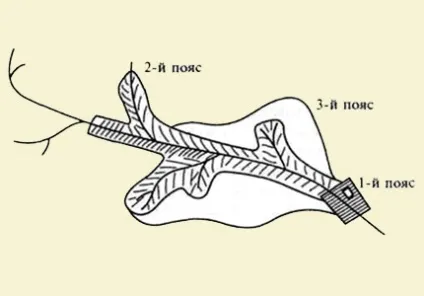 Охоронна зона водогону пояса охорони і нормативи кордонів (пояса) Охоронна зона водогону пояса охорони і нормативи кордонів