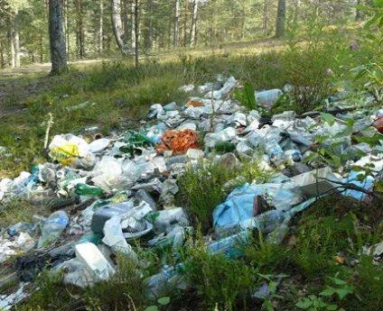 Охоронна зона водогону пояса охорони і нормативи кордонів (зона) Охоронна зона водогону пояса охорони і нормативи кордонів
