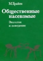Бджолині стільники стають шестикутними без допомоги бджіл - scisne