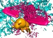 Бджолині стільники стають шестикутними без допомоги бджіл - scisne