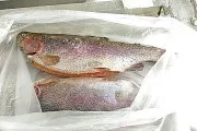 Пелагічні породи риб