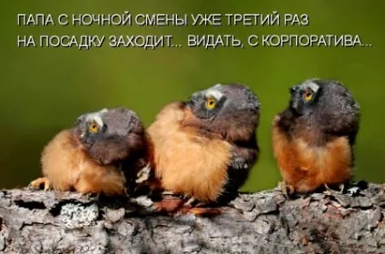 Печінковий торт з яловичої печінки