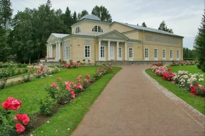 Павловський парк райони парадне поле і біла береза (П'єтро Гонзаго) Павловський парк райони парадне поле і біла береза