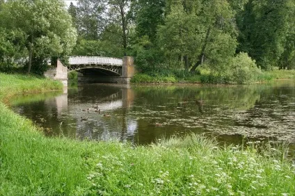 Павловський парк райони парадне поле і біла береза (поле) Павловський парк райони парадне поле і біла береза