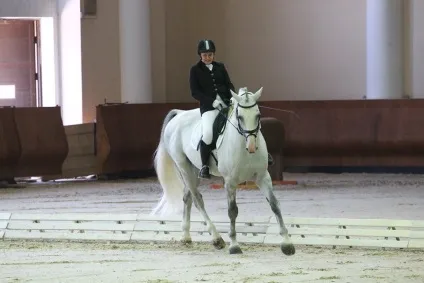 Паралімпіада реабілітація через спорт (відео про здоров'я) Паралімпіада реабілітація через спорт