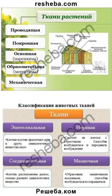 параграф 3