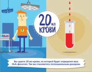Пересадка кісткового мозку - як відбувається і наслідки, вартість (відбувається) Пересадка кісткового мозку - як відбувається і наслідки, вартість