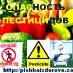 Пестициди та їх шкода для здоров'я людини (здоров'я) Пестициди та їх шкода для здоров'я людини