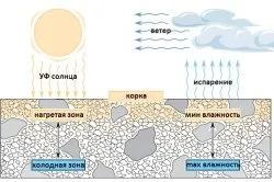 Пескобетон своїми руками склад і процес приготування (своїми) Пескобетон своїми руками склад і процес приготування