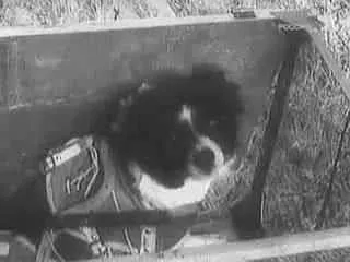 Першими були вони