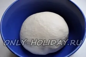 Пиріжки з картоплею в духовці покроковий рецепт з фото (пиріжки) Пиріжки з картоплею в духовці покроковий рецепт з фото