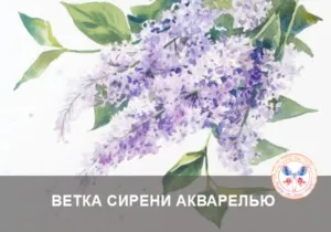 Пишемо бузок аквареллю демонстраційне відео (аквареллю) Пишемо бузок аквареллю демонстраційне відео