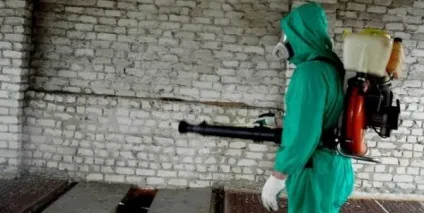 Цвіль в підвалі як позбутися від неї надовго або назавжди (підвалі) Цвіль в підвалі як позбутися від неї надовго або назавжди
