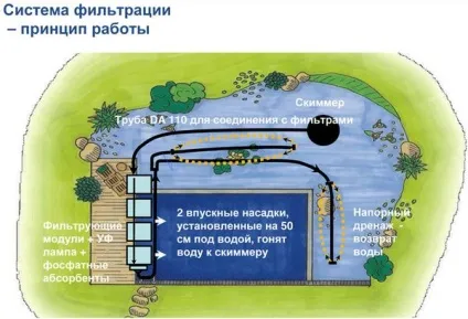 Плавальний ставок своїми руками покрокова інструкція будівництва водойми і фото (руками) Плавальний ставок своїми руками покрокова інструкція будівництва водойми і фото
