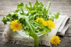 Кульбаба для печінки рецепти, лікування, варення і відвар (рецепти) Кульбаба для печінки рецепти, лікування, варення і відвар