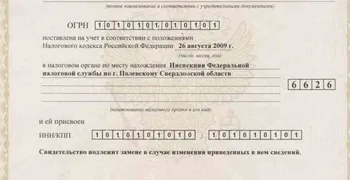 ІН (свідоцтво про Державну ип)