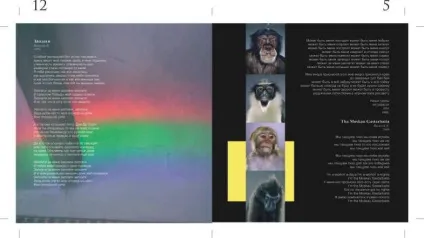 Оформлення компакт дисків і dvd-дисків, портфоліо наших робіт
