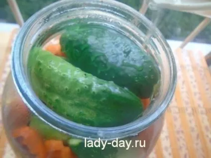 Огірки з зеленими помідорами на зиму рецепт, прості рецепти з фото (зеленими) Огірки з зеленими помідорами на зиму рецепт, прості рецепти з фото