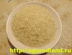 Плов з куркою по - домашньому