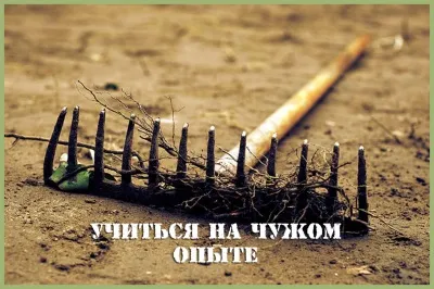 Плюси і мінуси армії очима новобранця (плюси) Плюси і мінуси армії очима новобранця