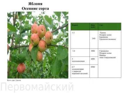 плодові дерева