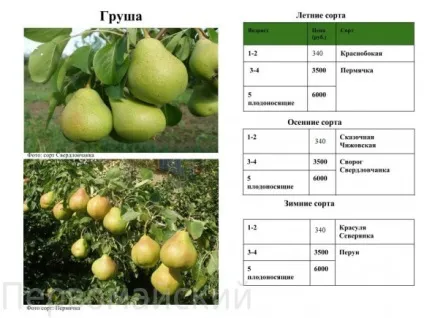 плодові дерева