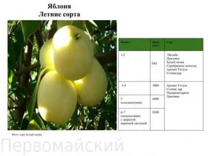 плодові дерева