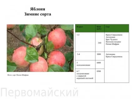плодові дерева