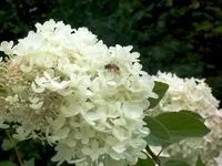 Чому люди порушують закони (закони) Чому люди порушують закони