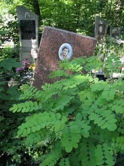 Чому пам'ятники дають бічний крен, хитаються, падають пп Прядко (пам'ятники) Чому пам'ятники дають бічний крен, хитаються, падають пп Прядко