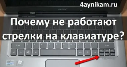 Чому не працюють стрілки на клавіатурі ноутбука, комп'ютерні та інтернет технології (клавіатура) Чому не працюють стрілки на клавіатурі ноутбука, комп'ютерні та інтернет технології