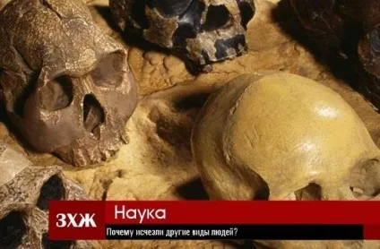 Чому зникли інші види людей (макса) Чому зникли інші види людей